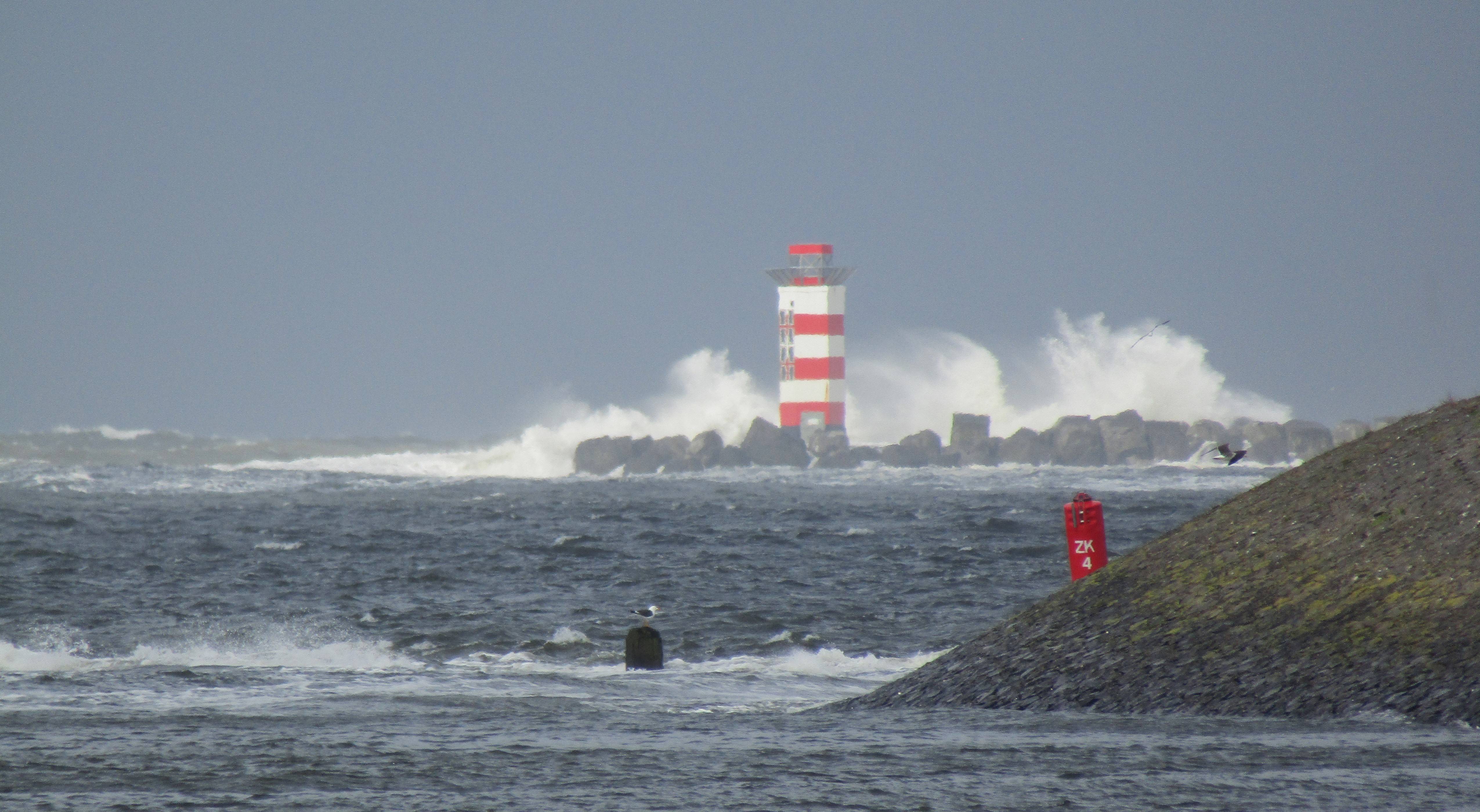 Pieren IJmuiden     16-04-24 